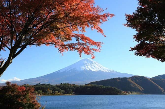 Mt. Fuji & Hakone 1 Day Bus Tour From Tokyo Station Area - Meeting Point and Start Time