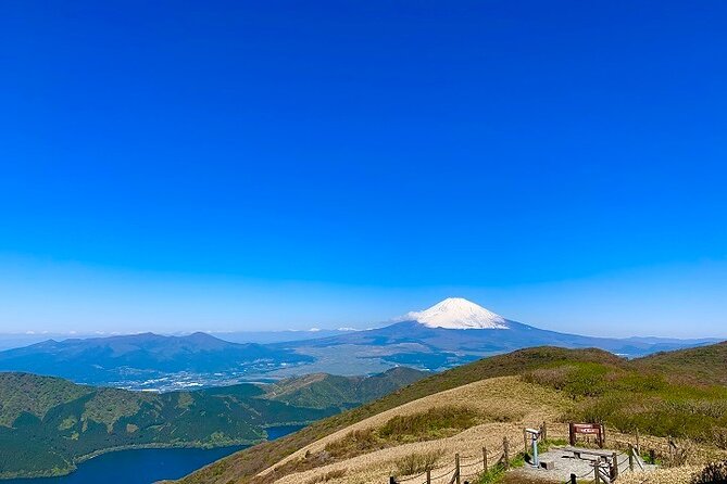 Mt. Fuji & Hakone 1 Day Bus Tour From Tokyo Station Area - Alternative Options