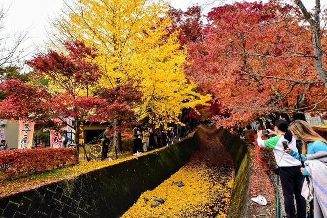 Mt. Fuji & Hakone Day Tour From Tokyo by Car With JP Local Guide - Cancellation and Refund Policy