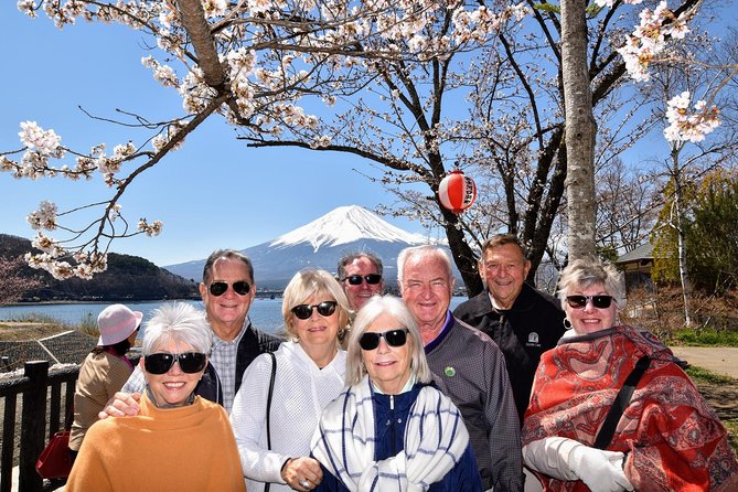 Mt. Fuji & Hakone Day Tour From Tokyo by Car With JP Local Guide - Moderate Physical Fitness Requirement