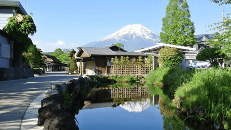 Mt. Fuji & Hakone: Exclusive Day Trip From Tokyo - Included in the Tour