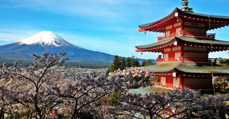 Mt. Fuji & Hakone: Exclusive Day Trip From Tokyo - Booking and Cancellation