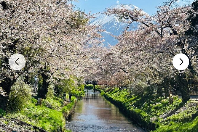 Mt. Fuji, Hakone Full-Day Private Tour With English Driver Guide - Potential Attractions