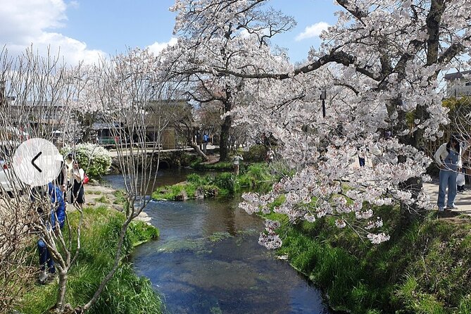 Mt. Fuji, Hakone Full-Day Private Tour With English Driver Guide - Pickup and Accessibility