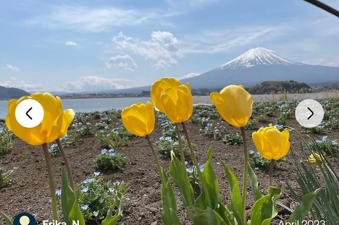 Mt. Fuji, Hakone Full-Day Private Tour With English Driver Guide - Review Highlights