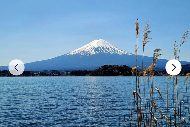Mt. Fuji, Hakone Full-Day Private Tour With English Driver Guide - Booking Confirmation