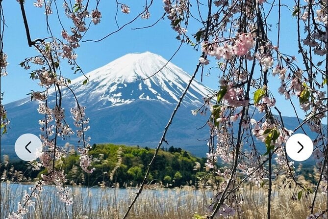 Mt. Fuji, Hakone Full-Day Private Tour With English Driver Guide - Participant Eligibility