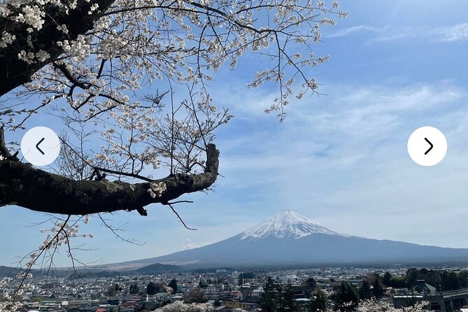 Mt. Fuji, Hakone Full-Day Private Tour With English Driver Guide - Cancellation Policy