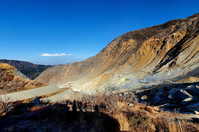 Mt. Fuji & Hakone Guided Private Tour GREEN NUMBER PLATES - Transportation and Accessibility