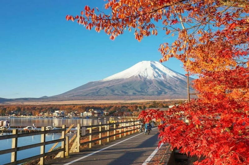 Mt Fuji Hakone/Kamakura Tour: FREE Ropeway& Lake Ashi Cruise - What’s Included and What’s Not