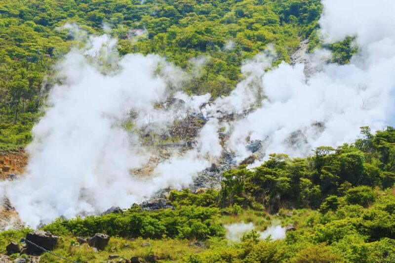 Mt. Fuji, Hakone & Kawaguchiko Scenic Day Tour from Tokyo - Who Should Consider This Tour?