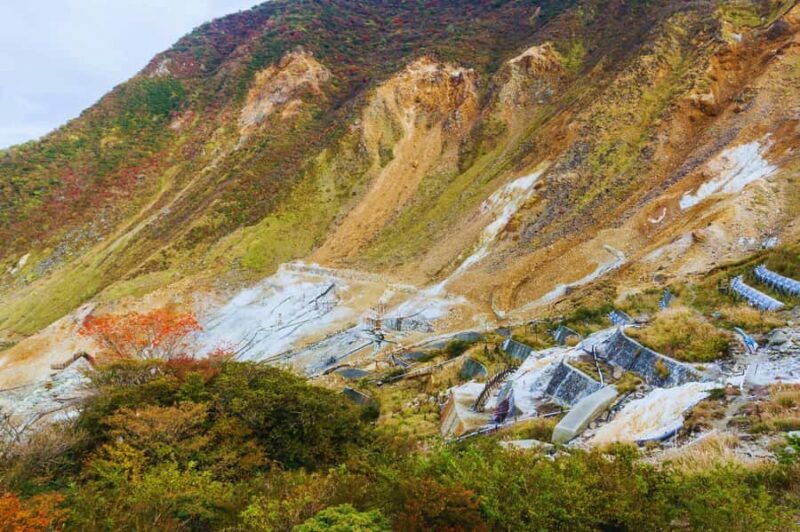 Mt. Fuji, Hakone & Kawaguchiko Scenic Day Tour from Tokyo - The Sum Up