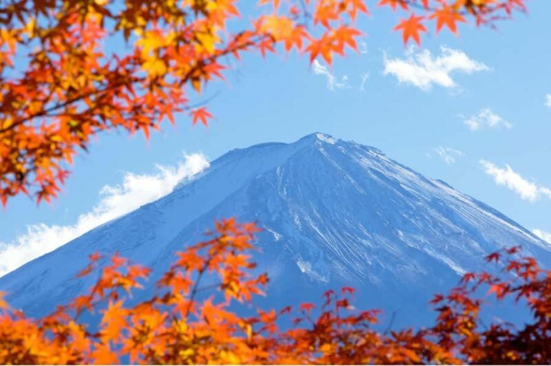 Mt. Fuji, Hakone & Kawaguchiko Scenic Day Tour from Tokyo - FAQ