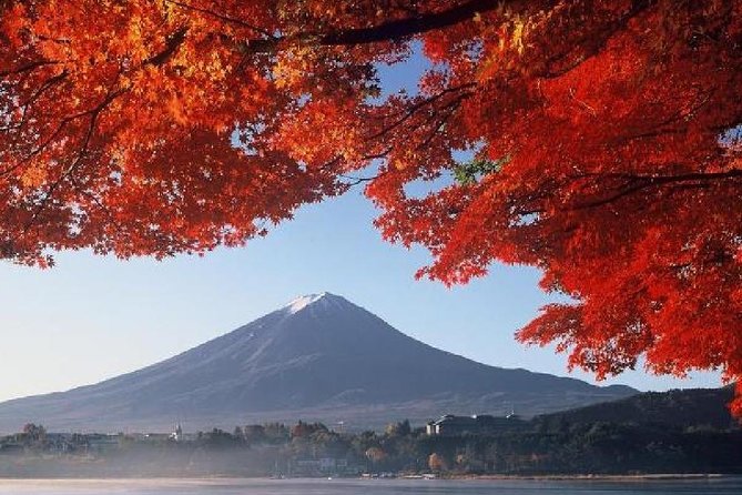 Mt Fuji, Hakone, Lake Ashi Cruise 1 Day Bus Trip From Tokyo - Confirmation and Flexibility