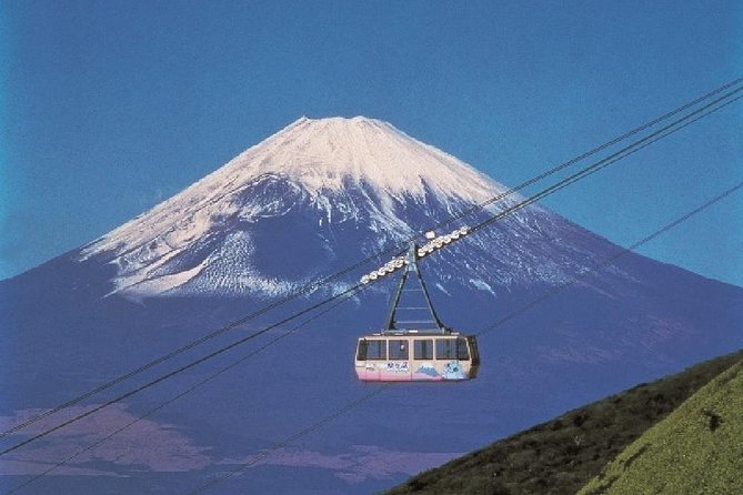 Mt Fuji, Hakone, Lake Ashi Cruise 1 Day Bus Trip From Tokyo - Accessibility and Physical Fitness