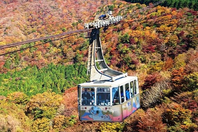 Mt Fuji, Hakone, Lake Ashi Cruise 1 Day Bus Trip From Tokyo - Included Amenities