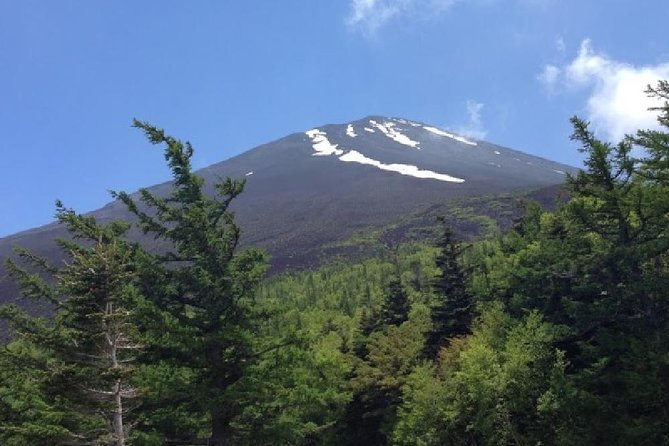 Mt Fuji, Hakone, Lake Ashi Cruise 1 Day Bus Trip From Tokyo - Sustainability Efforts