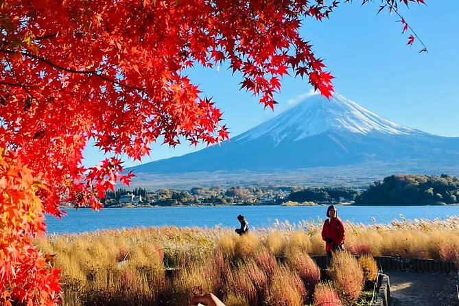 Mt Fuji & Hakone Private Day Tour W/ English Speaking Guide - Cancellation and Review Policies