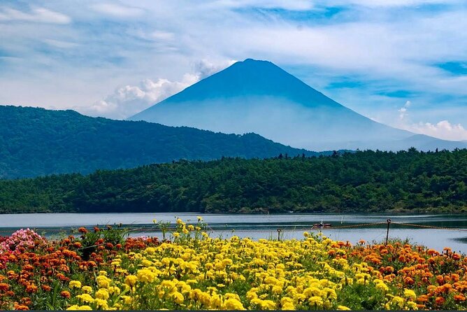 Mt Fuji & Hakone Private Day Tour W/ English Speaking Guide - Exploring Mount Fuji