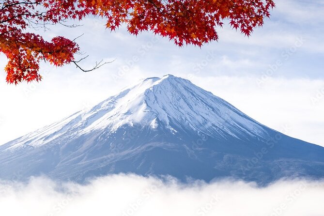 Mt Fuji, Hakone Private Tour by Car Pickup From Tokyo - Inclusions