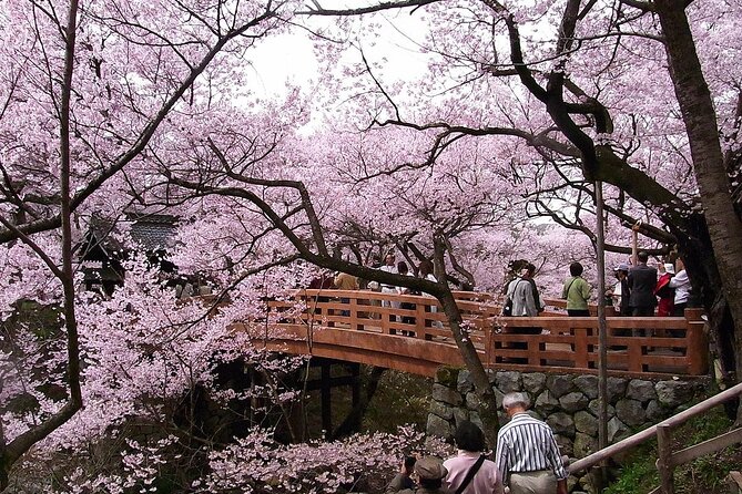 Mt Fuji, Hakone Private Tour by Car Pickup From Tokyo - Pricing and Cancellation Policy