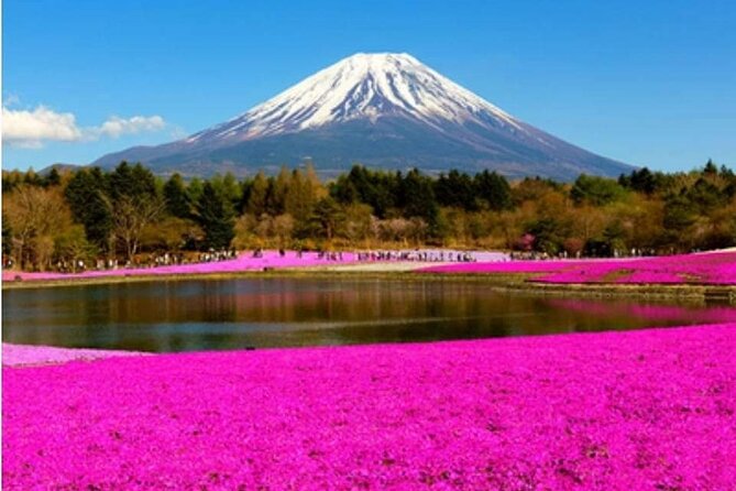 Mt Fuji, Hakone Private Tour by Car With Pickup - Additional Tour Information