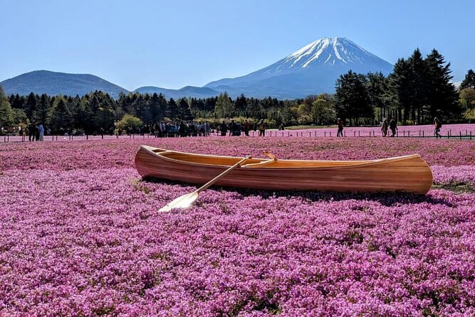 Mt Fuji, Hakone Private Tour by Car With Pickup - Accessibility and Accommodations