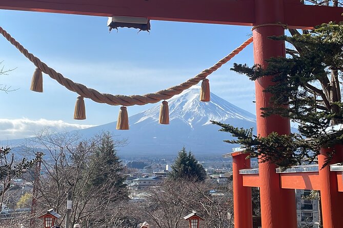 Mt Fuji/Hakone Private Tour From Tokyo/Yokohama - Cancellation and Payment