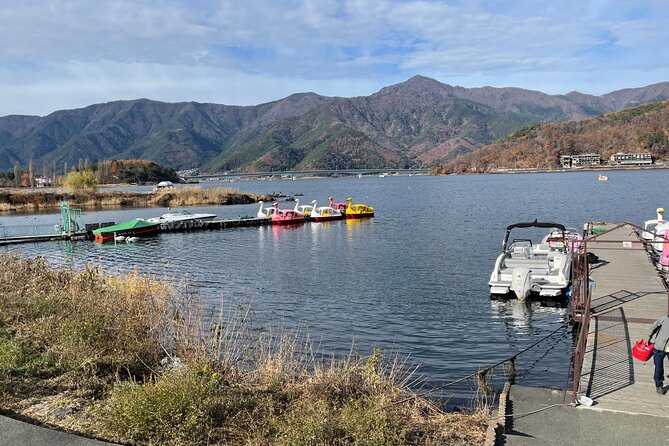 Mt Fuji/Hakone Private Tour From Tokyo/Yokohama - Itinerary