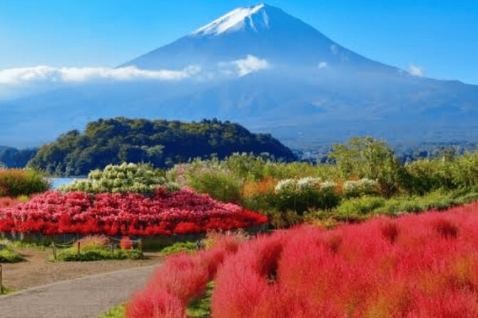 Mt Fuji/Hakone Private Tour From Tokyo/Yokohama - About the Tour Operator