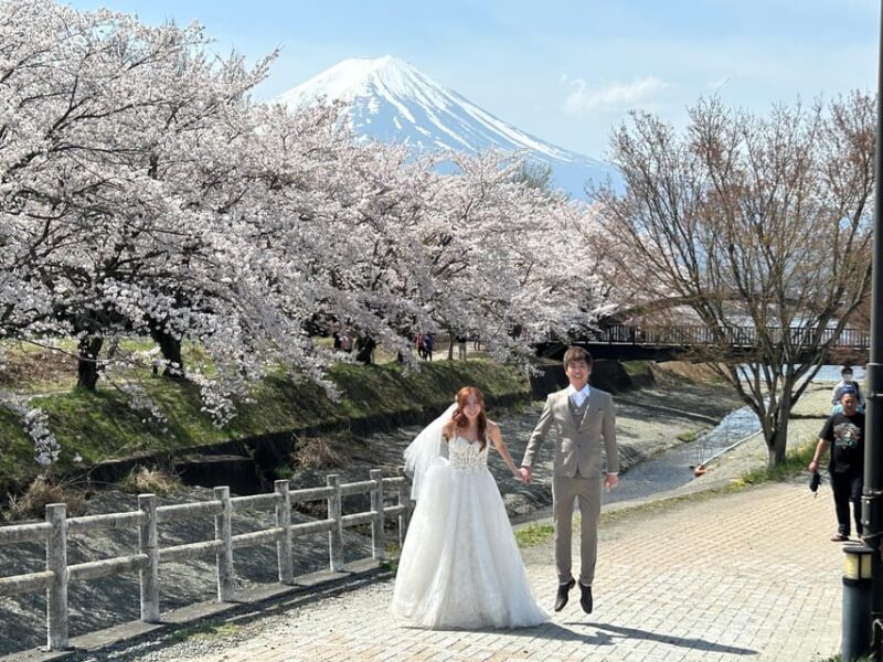 Mt. Fuji & Hakone Private Tour T/F Tokyo, Yokohama up to 12 - Tour Inclusions and Exclusions