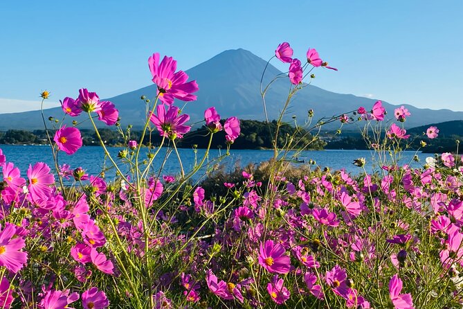 Mt.Fuji Hakone Private Tour With English Speaking Chauffeur - Inclusions and Pricing