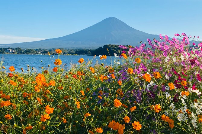 Mt.Fuji Hakone Private Tour With English Speaking Chauffeur - Tour Highlights: Saiko Iyashi No Sato Nemba