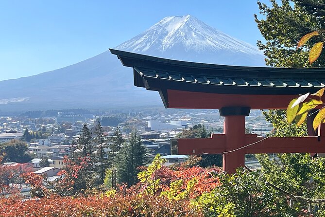 Mt.Fuji Hakone Private Tour With English Speaking Chauffeur - Confirmation and Cancellation Policy