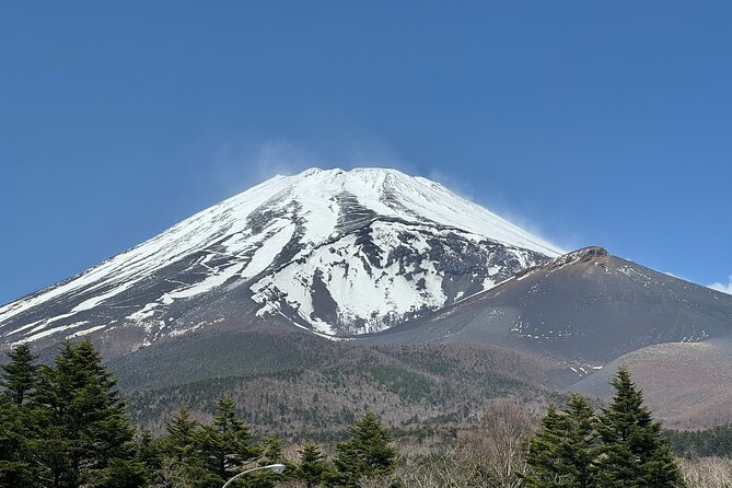 Mt. Fuji & Hakone Private Tour With English-Speaking Guide - Booking and Cancellation Policy