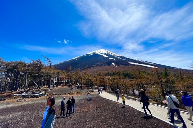 Mt. Fuji & Hakone Private Tour With English-Speaking Guide - Meeting and Pickup Details