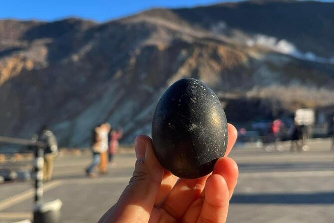 Mt. Fuji & Hakone Pvt. Day Tour With Pick & Drop. - Overview of the Tour