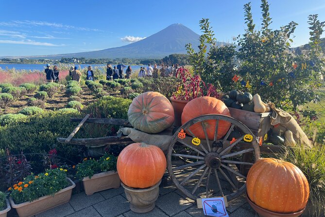 Mt. Fuji & Hakone Pvt. Day Tour With Pick & Drop. - Accessibility and Accommodations