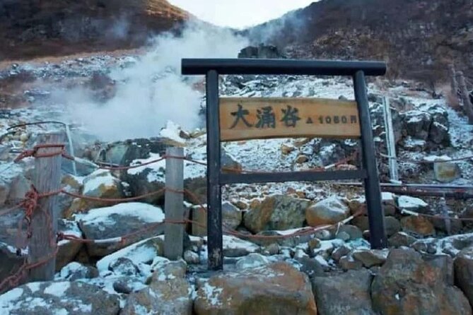 Mt. Fuji Hakone Ropeway and Oshino Hakkai Day Tour - Important Information