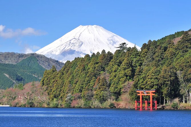 Mt. Fuji Hakone Ropeway and Oshino Hakkai Day Tour - Discovering Hakone Ropeway