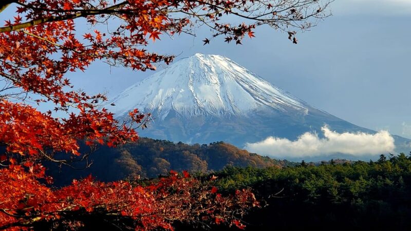 Mt Fuji & Hakone Tour Bullet Train Return GREEN NUMBER PLATE - Transportation and Logistics