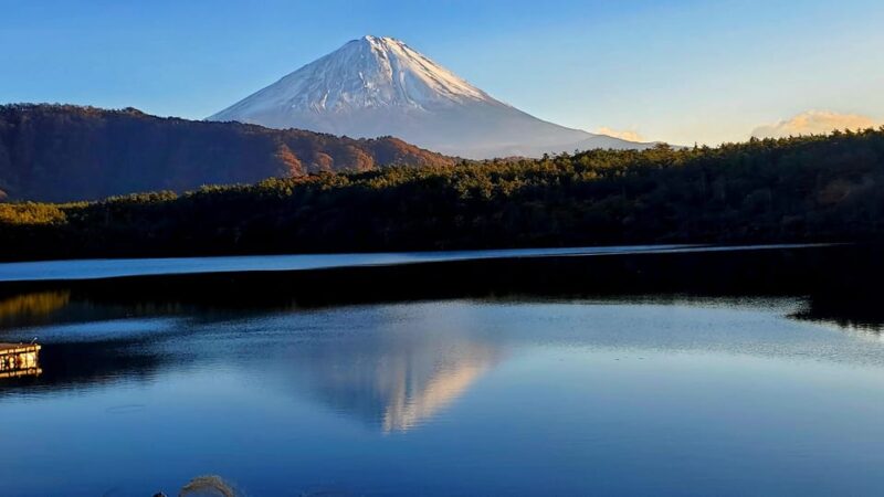 Mt Fuji & Hakone Tour Bullet Train Return GREEN NUMBER PLATE - Important Information and Customer Reviews