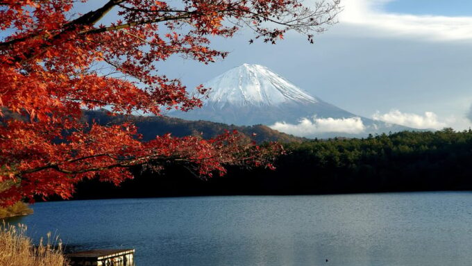 Mt Fuji & Hakone Tour Bullet Train Return GREEN NUMBER PLATE - Customization and Additional Options