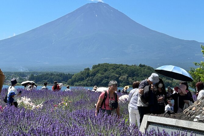 Mt.Fuji & Hakone Tour, From/To Tokyo, Yokohama, Odawara, up to 12 - Motion Sickness Considerations
