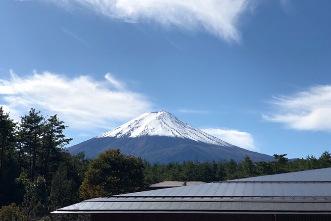 Mt. Fuji & Hakone Tour Tokyo Hotel Pick-Up by Grayline - Important Notes
