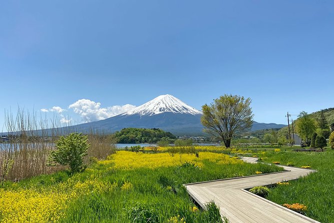 Mt Fuji Half-Day Tour By Car - Transport and Inclusions