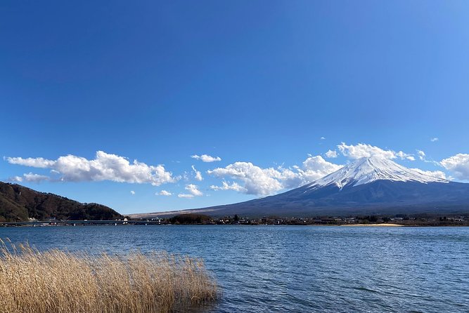 Mt Fuji Half-Day Tour By Car - Meeting and Pickup