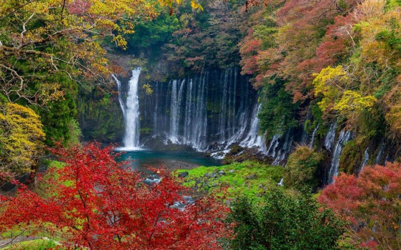 Mt Fuji : Highlight Tour and Unforgettable Experience - Inclusions