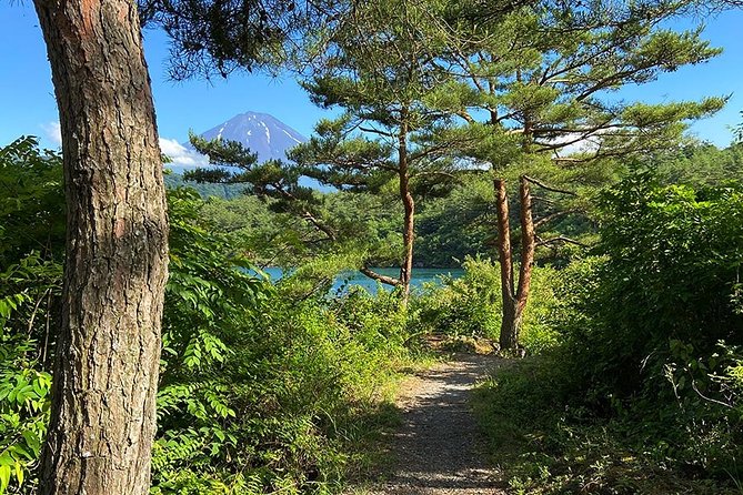Mt Fuji Japanese Crafts Village and Lakeside Bike Tour - Inclusions