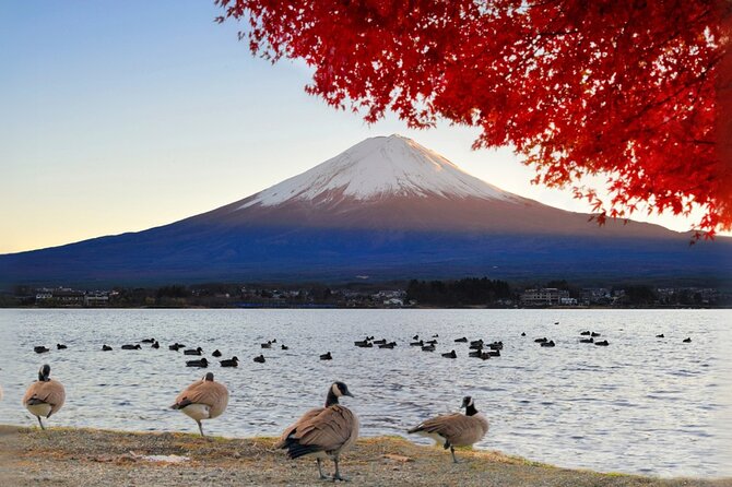 Mt Fuji Lake Kawaguchi and Yamanaka Hot Spring Day Tour in Tokyo - Additional Information